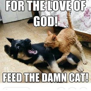 Meet your Posher, Breckynn